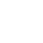 NaviBlue